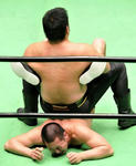 2012120523101.jpg