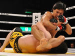 201212102348.jpg