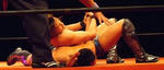 20133132247.JPG