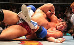 201305202244.jpg