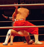 201306042058.JPG