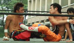 201306042111.JPG