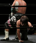 201306042135.jpg