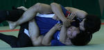 201307062249.jpg