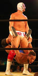 201307161456.jpg