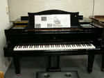 KIF_8500.JPG