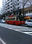 P1000104.JPG