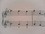 P1000078.JPG