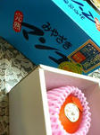 P1000108.JPG