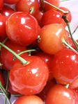 P1000106.JPG