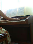 P1000111.JPG