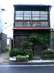 P1000115.JPG