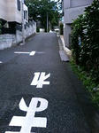 P1000116.JPG