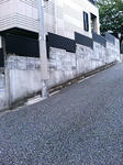 P1000117.JPG