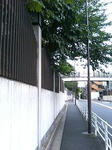 P1000118.JPG
