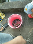KIF_9807.JPG