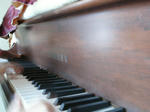 KIF_9788.JPG