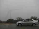 20100307a.JPG