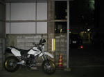 IMG_20100819o.jpg