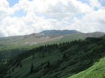 20100820c.jpg