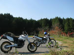 20101105a.jpg