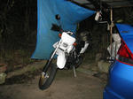 20101105d.jpg