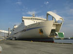 20101119a.jpg