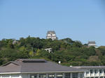20101120g.jpg