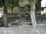 20101121c.jpg