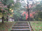 20101122c.jpg