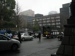 20110211b.jpg