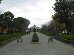 20101122d.jpg