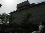 91893d74.jpg