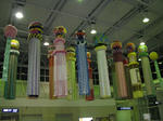 IMG_0037r.jpg