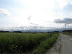 20110828h.jpg
