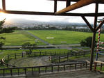 IMG_0012b.jpg