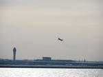 20120210d.jpg