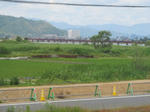 20120606h.jpg