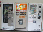 20120606m.jpg