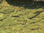 IMG_0018s.jpg
