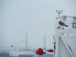 IMG_0024s.jpg