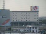 665515e8.jpg