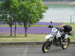 IMG_0062s.jpg