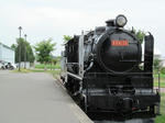 IMG_0028s.jpg