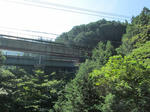 IMG_0011s.jpg