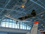 IMG_0022s.jpg