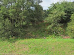 256e508e.jpg