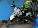 IMG_0016s.jpg