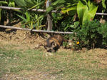 20120927b2.jpg