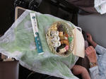 201308nt2.jpg